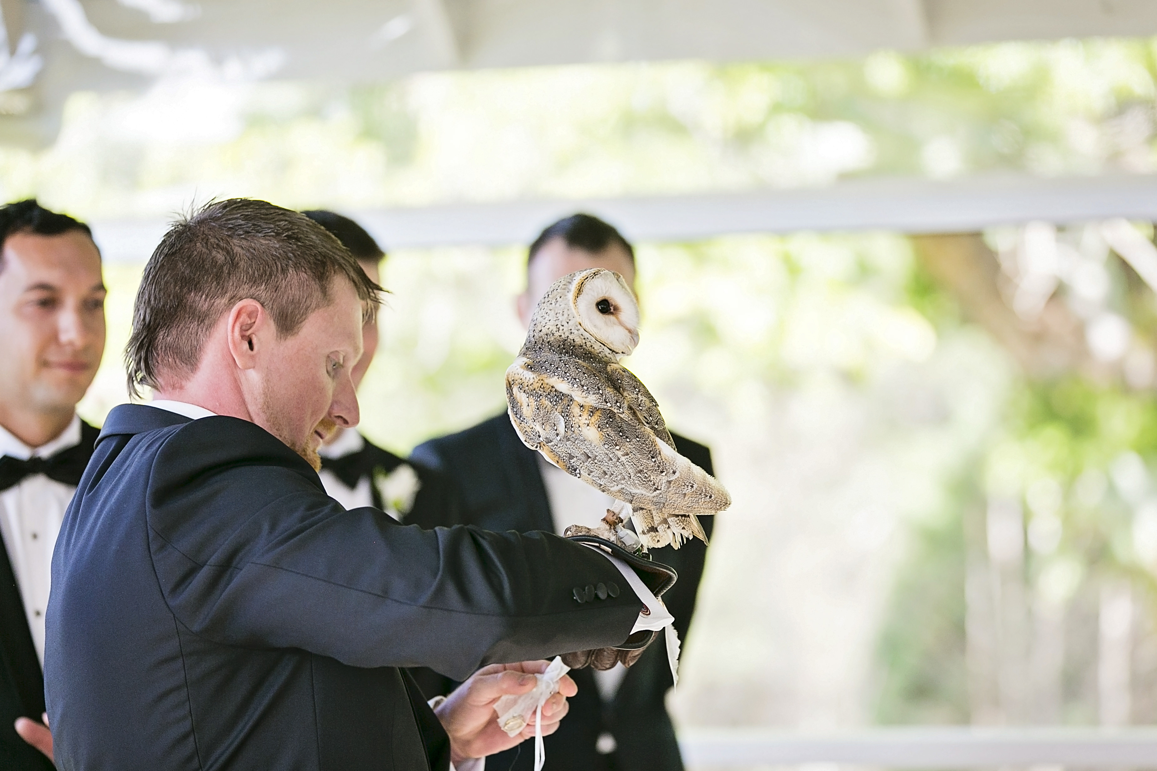 Dreamy Hinterland Wedding